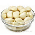 Freeze Garlic Cloves That Are Peeled